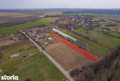 Teren de 3083 mp, în Gruiu - 8
