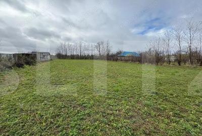 Casa batraneasca cu teren intravilan Bucecea - 2