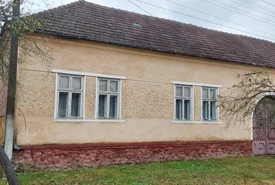 Vand casa Caprioara, com.Savarsin - 1