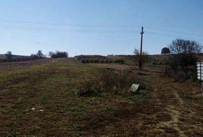 Teren de 3200 mp, în Schineni (Sascut) - 5