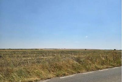 Teren extravilan Smardioasa, cota 1/6, ID: R2688427 - 4