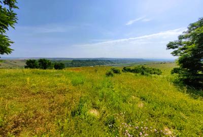 28.554 mp TEREN EXTRAVILAN, TURDA - SĂNDULEȘTI, jud. CLUJ, 300 m de AUTOSTRADA - 2