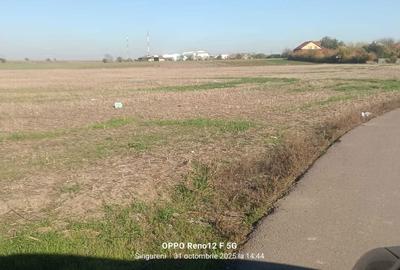 Teren de 8276 mp, în Singureni - 4