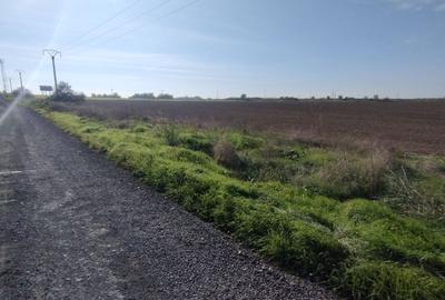 Teren Construcții intravilan de 5000 mp, în Exterior Nord - 7