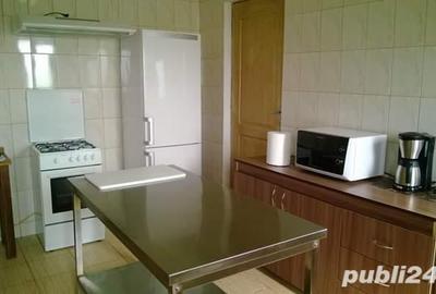 Casă cu 10 camere cu Teren 2433 Mp în Murighiol - 6