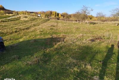 Spațiu comercial, în Voila - 20