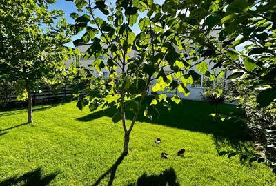 Casa superba in cartier linistit si prietenos - 8