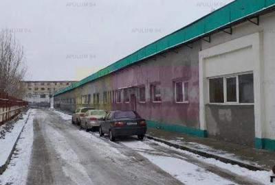 Hala productie 23 August. - 2