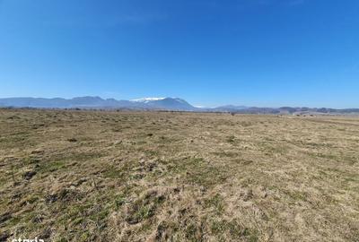 Spațiu comercial, în Central - 2