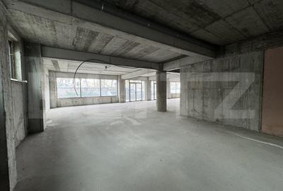 Spatiu comercial demisol bloc nou, 256 mp utili, zona Craiovita Noua - 3