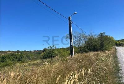 Teren de 4251 mp, în Dealuri Oradea - 7