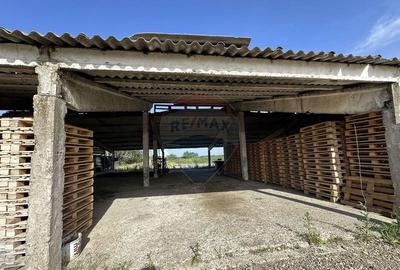 Spa?iu industrial Hale si Fabrica de lemn - 7