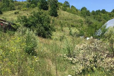 Teren de 4364 mp, în Șerpeni - 4