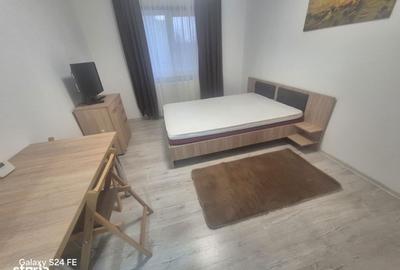 Garsonieră în 1 Mai - 13