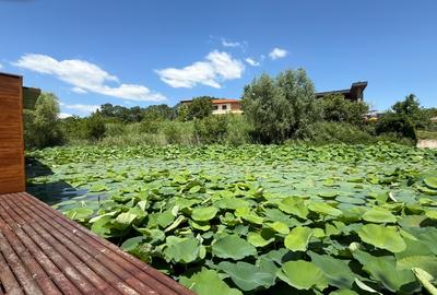 Construcție Nouă / Deschidere Lac / Ponton /Piscină - 2