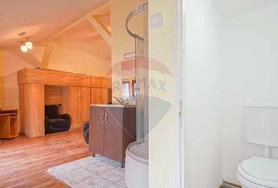 Apartament cu 2 camere decomandat, mobilat în Central - 16