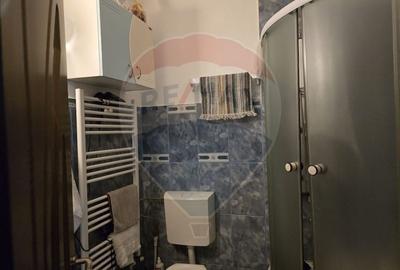 Casă / Vilă cu 5 camere de vânzare în zona George Enescu - 13