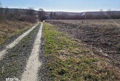 Teren de 10000 mp, în Viile Satu Mare
