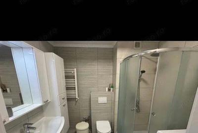 Apartament 2 camere de inchiriat in zona Domenii - 3