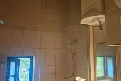 Vand ap 3 camere Dumvravita -Kaufland - 12