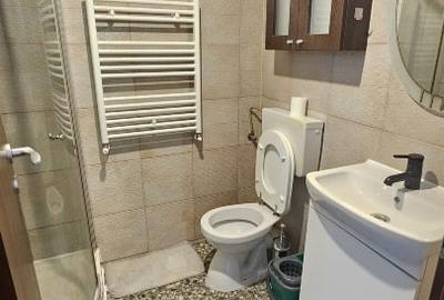 Garsonieră, mobilată în 1 Decembrie 1918 - 11