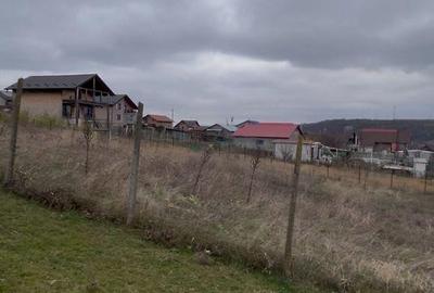 Spațiu comercial, în Dumbrava
