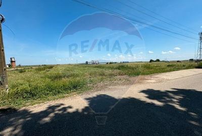 Teren 11404 m2 , Biharia la 1km de autostrada A3 si 300m de centura - 5