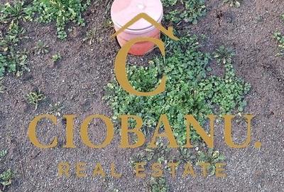 Casa de vanzare zona Damila-Capsunarie - 11