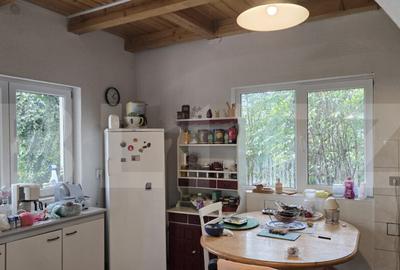 Casa 5 camere , 300 mp; Teren - 2000 mp . Viile Satu Mare - 25