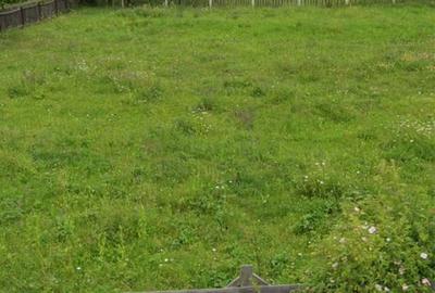 Spațiu comercial, în Ceahlău - 3