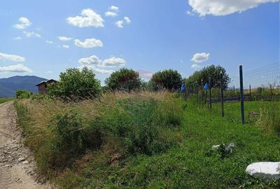 COMISION 0%! Teren 712mp Sacele / Strada Postavarului - 4