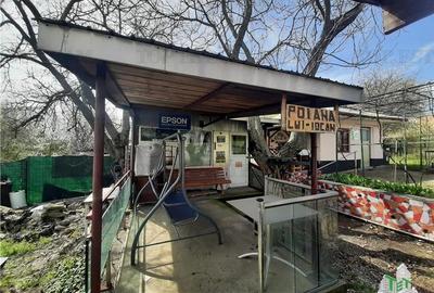 Casa cu livada/teren 1200 mp Casa cu livada/teren 1200 mp - 10