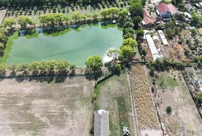 Teren de 3413 mp, în Dudeștii Noi - 3