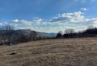 Teren de 2900 mp, în Buhoci - 1