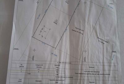 Casă cu 2 camere în Central - 4