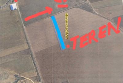 Spațiu comercial, în Limanu - 4