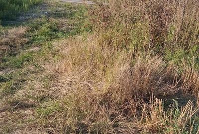 Teren de 28500 mp, în Central - 7