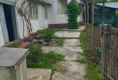 Casă cu Teren 3000 Mp în Reghiu - 6