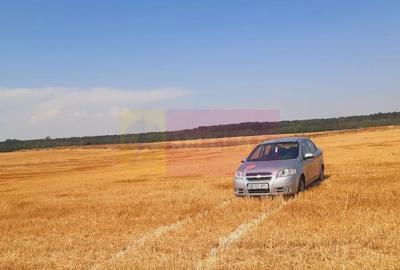 Teren de 2000 mp, în Brănești