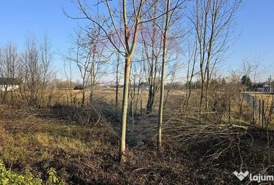 Teren de 10860 mp, în Frătăuții Noi - 6