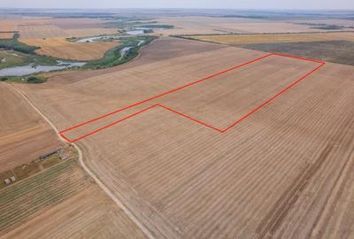 FRUMUSANI - PASAREA, TEREN 14420 MP, FRONT 40 M! - 4