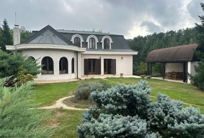 VILA CU IZ PROVENSAL  CU TEREN GENEROS SI PISCINA EXTERIOARA INCALZITA - 53