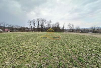 Teren Construcții intravilan de 11021 mp, în Blăgești - 11