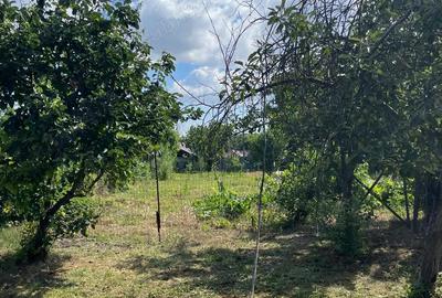 Teren cu casa in comuna Iepuresti, judetul Giurgiu - 4