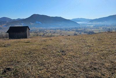 Teren extravilan de vanzare in Bucovina zona Frasin - 4
