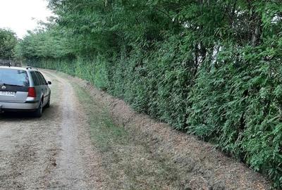 Spațiu comercial, în Central - 14