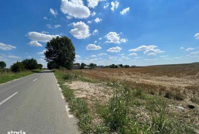 Teren de 5000 mp, în Clinceni - 5