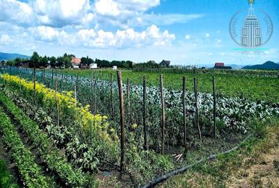 Investitie potential deosebit - Domeniu pe 20.400 mp teren intravilan, Brasov - 6