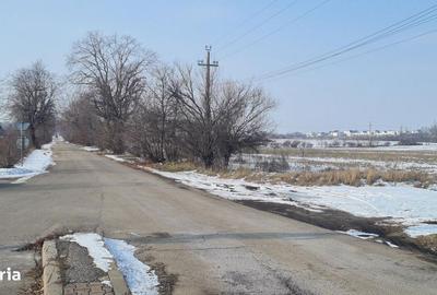 Spațiu comercial, în Balotești - 3