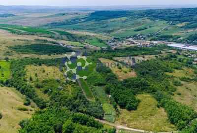 Teren Construcții intravilan de 10000 mp, în Rediu Aldei - 4